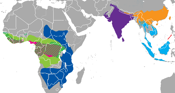 A map of Africa and Asia showing regions where Pangolin can be found, color coded by species