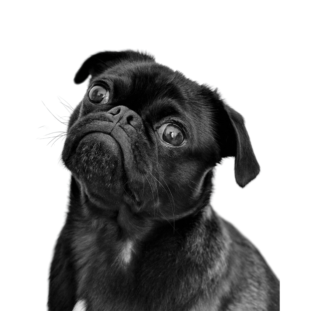 charlesdeluvio, via Pexels