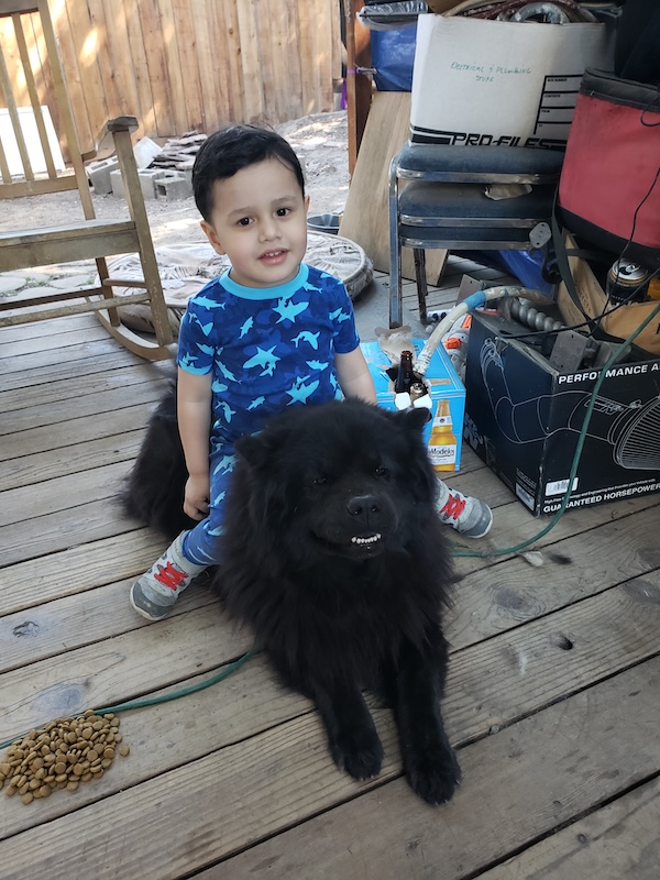 My son Mateo and our black chow Gogi