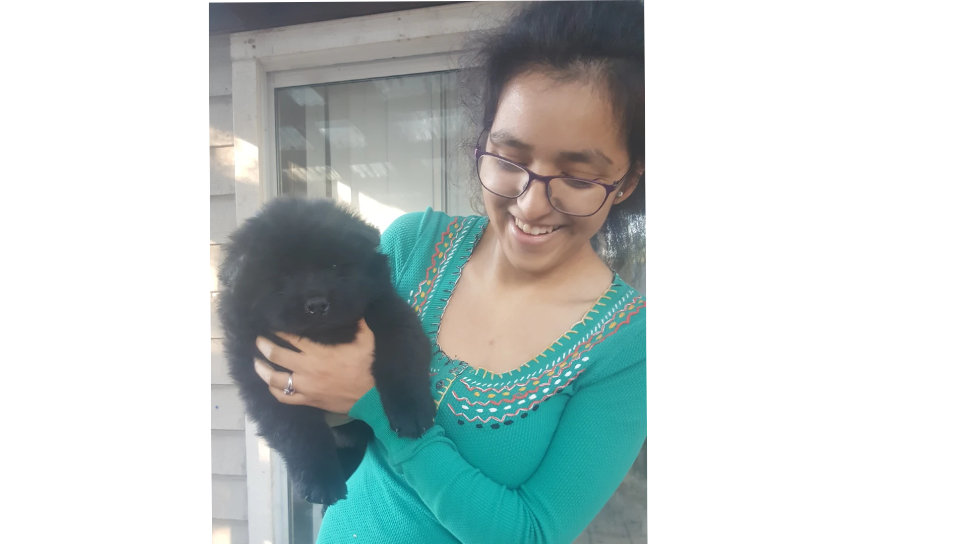 Black chow pup named Toro