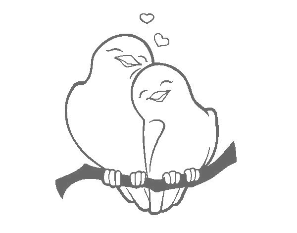 black and white drawing of two lovebirds