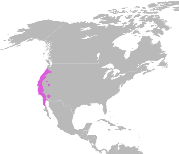 distribution map