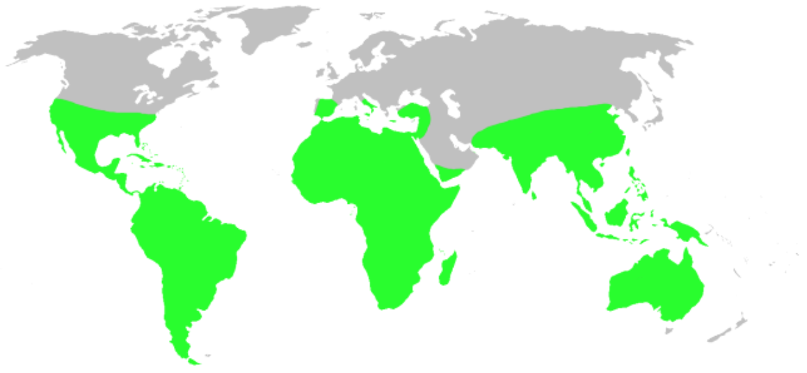 rough map of where they live