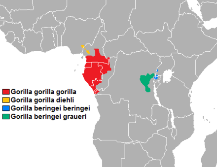 Map of gorilla distribution