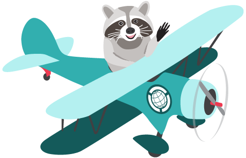 digital art of a raccoon