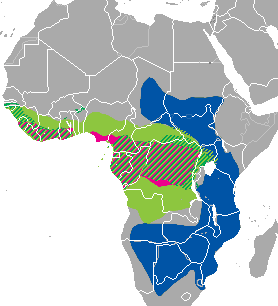 Map of Africa showing regions where Pangolin can be found.