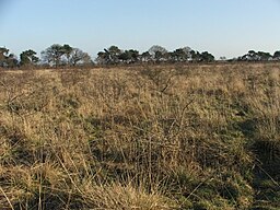 Scrubland Landscape Image