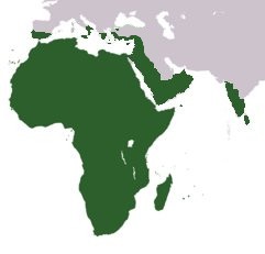 African Continent