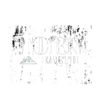 Torn Earth Logo
