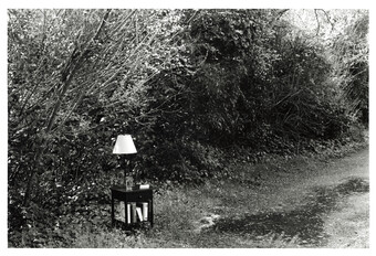 forest with nightstand