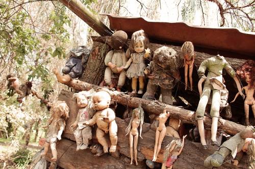 Photo of dolls hanging on a wall