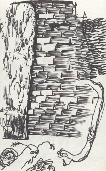 snail and worm scholars