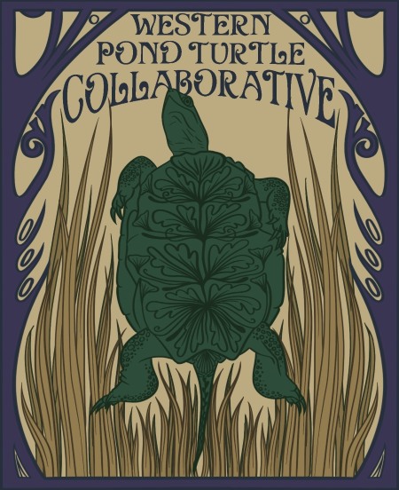 Western Pond turtle poster design