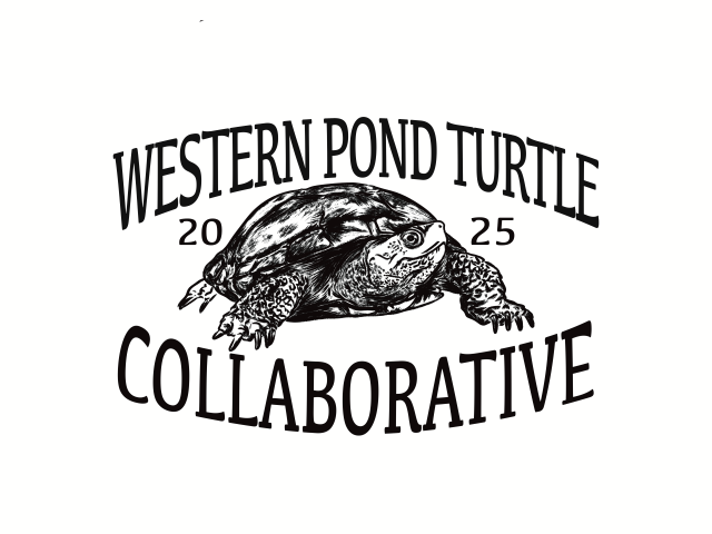 concept sketch of WPT shirt design