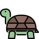 turtle catalog logo