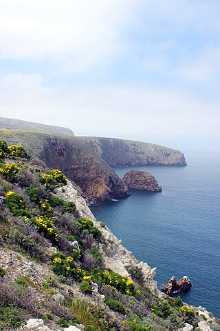 Santa Cruz Island in Spring