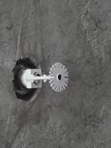 Fire sprinkler Head visible in garage
