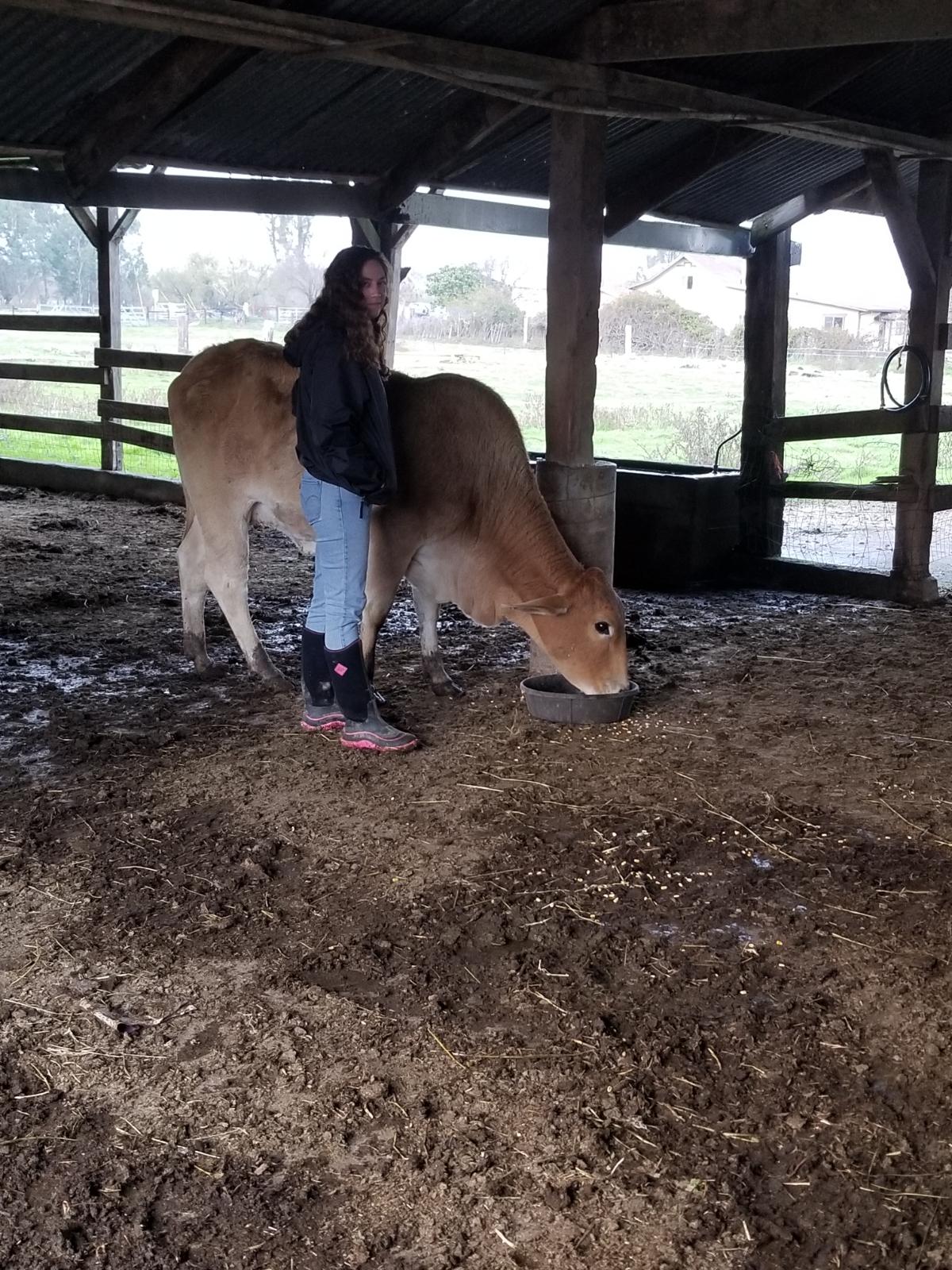 photo of myself and our first cow Wanda