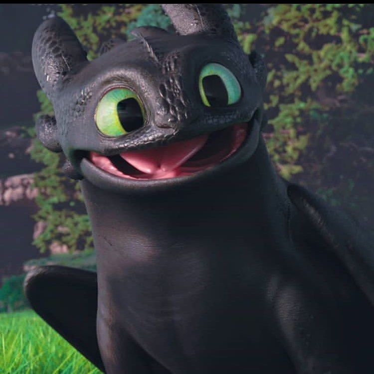 toothless smiling