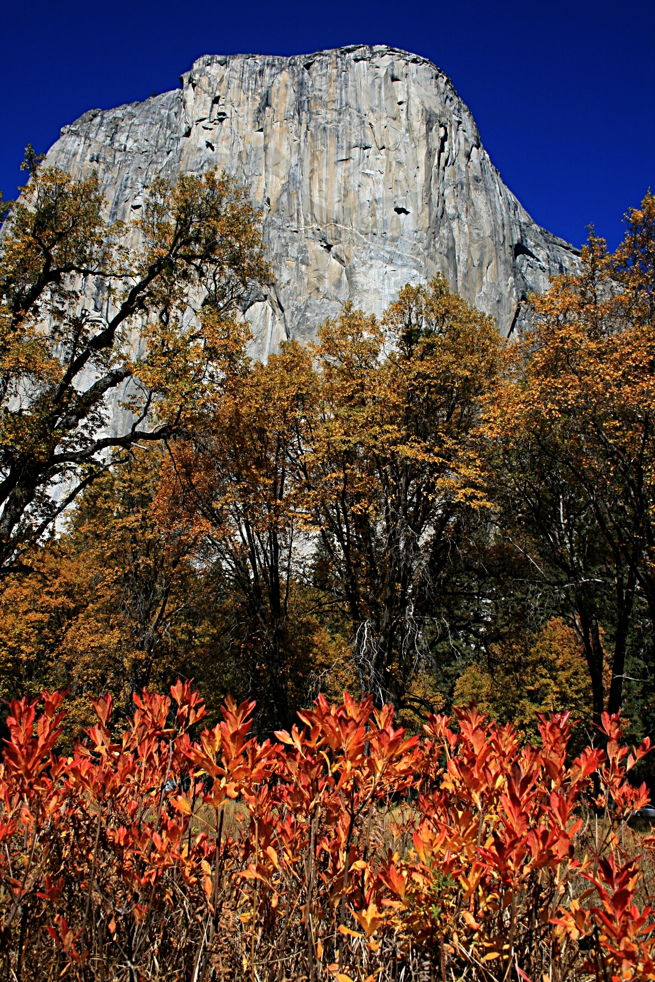 El Capitan in Fall